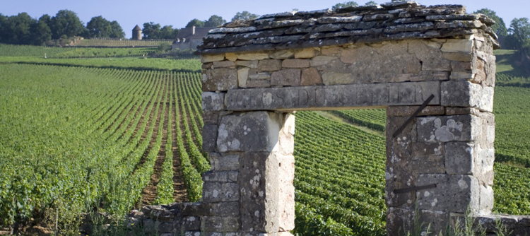 Côte Chalonnaise et Couchois terroirs de tradition vigneronne Vins