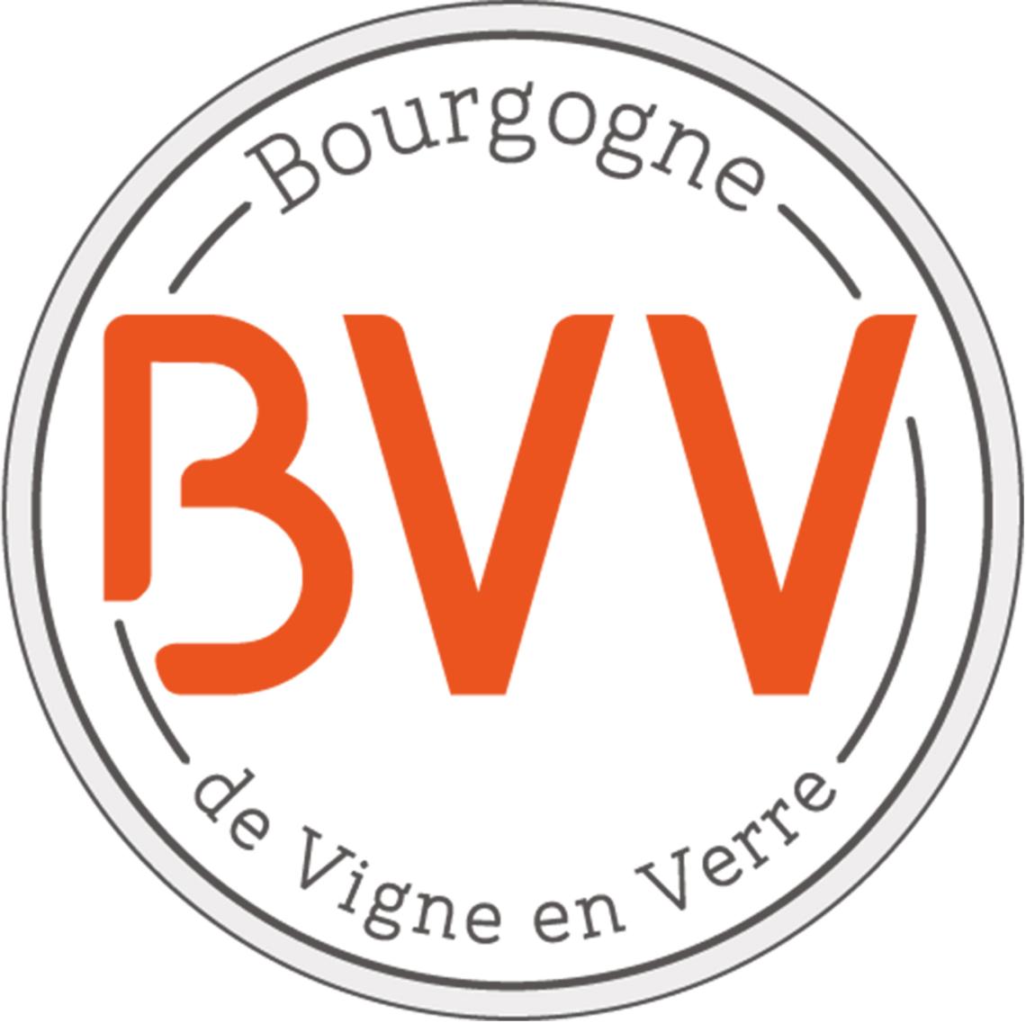 Logo-BVV_Version-2022 Bouchons_BVV1 Mosaique-Domaines-Bourgogne-de-Vigne-en-Verre