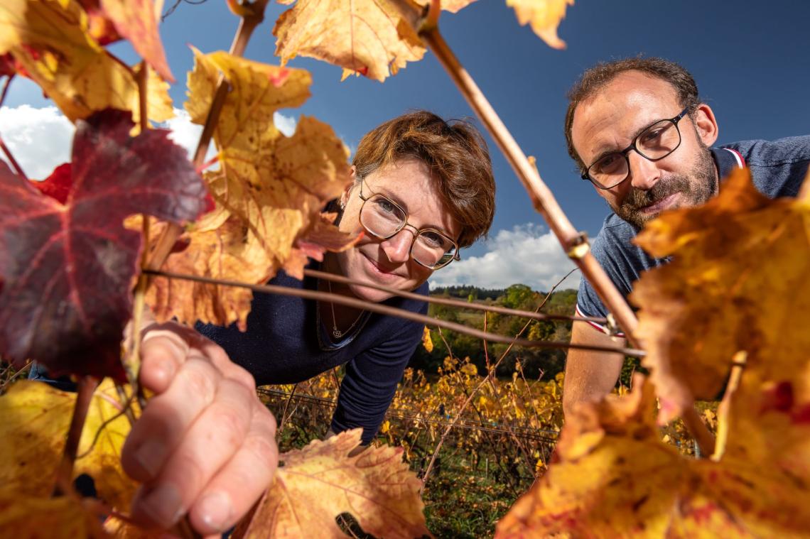 013_ETIENNE RAMOUSSE_DOMAINE GRACHET-DUCHEMIN_PORTRAIT_HD_2022 logo-GD-or+blanc