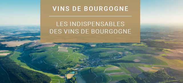 Ne cherchez plus les informations clés sur les vins de Bourgogne !