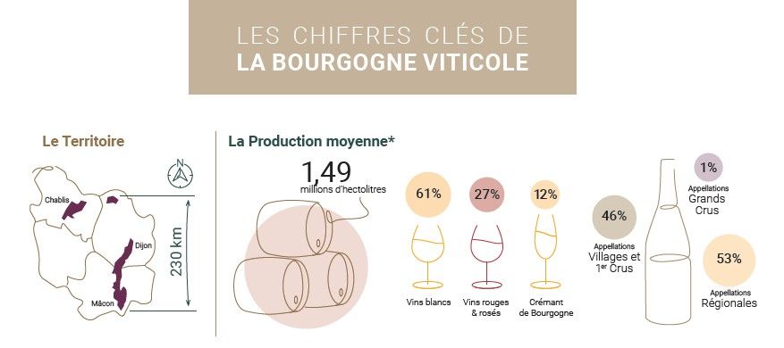 Chiffres Clés de la Bourgogne Viticole actualisés