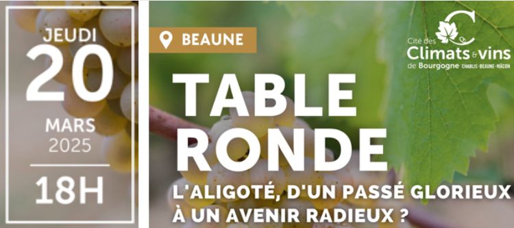 Table ronde à la Cité des Climats à Beaune sur l'Aligoté