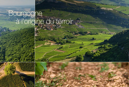 Le terroir en Bourgogne