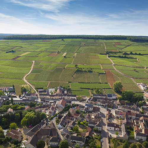 ©  BIVB / Aurélien Ibanez